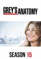 Grey's Anatomy (2005) - Season 15 Grey's Anatomy is not a movie or a song, but rather a popular American television drama