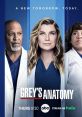 Grey's Anatomy (2005) - Season 18 Grey's Anatomy is a highly acclaimed medical drama series that first premiered in 2005.