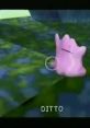 Ditto character from Pokémon Snap, showcasing its unique transformation abilities in a vibrant, natural setting.