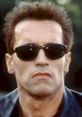 Arnold Schwarzenegger as the Terminator in iconic sunglasses, showcasing his intense character from "Terminator 2: Judgment Day.