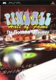 Pinball Hall of Fame: The Gottlieb Gottlieb Pinball Classics - Video Game Video game from Pinball Hall of Fame: The