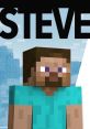 Steve - Super Smash Bros. Ultimate The associated with Steve in Super Smash Bros. are a crucial part of the gaming