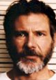 Harrison Ford with facial hair in a mugshot style portrait, evoking a gritty and intense persona.