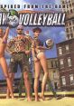 Inspired From the Game Outlaw Volleyball Outlaw Volleyball - Video Game Video game from Inspired From the Game Outlaw