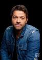 Misha Type your text to hear it in the voice of misha.