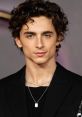 Timothée Chalamet Type your text and hear it in the voice of Timothée Chalamet by Maiaa.