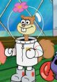 Sandy Cheeks(test) Type your text and hear it in the voice of Sandy Cheeks(test) by porkai.