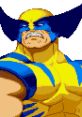 Wolverine in vibrant blue and yellow, showcasing fierce expression from X-Men vs. Street Fighter arcade game.