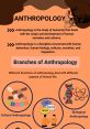 Anthropology In the realm of Anthropology, the study of human societies and cultures, play a crucial role in