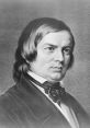 Schumann The of Liszt's "Grandes Études" fills the room, creating a sense of grandeur and elegance. The piano keys resonate