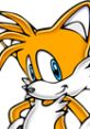 Tails from Sonic Adventure, featuring his iconic orange fur and blue eyes, showcasing his playful character design.