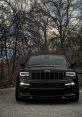 Srt The revving of the engine echoed through the empty streets, a low, menacing growl that sent shivers down the spines of