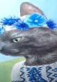 Gray cat adorned with blue flowers, wearing a traditional embroidered shirt, showcasing a blend of culture and charm.