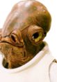 Admiral Ackbar from Star Wars, a Mon Calamari leader known for his iconic quote about traps.