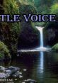 Iris Vlutters (A Friendly, Gentle, Lively, and Feminine Voice From the Netherlands) Type your text to hear it in the voice