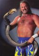 Jake The Snake Roberts WWE Pro Wrestler, AEW manager . Type your text to hear it in the voice of Jake The Snake Roberts