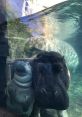 Fiona the Hippo Animals - Cincinnati Zoo. Type your text to hear it in the voice of Fiona the Hippo