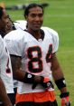 TJ Houshmandzadeh Former NFL - Cincinnati Bengals / Current NFL Analyst for Fox Sports 1. Type your text to hear it in the