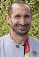 Giorgio Chiellini Professional Footballer - LAFC. Type your text to hear it in the voice of Giorgio Chiellini