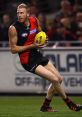 Dustin Fletcher AFL Legend - Essendon. Type your text to hear it in the voice of Dustin Fletcher