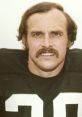 Rocky Bleier Type your text to hear it in the voice of Rocky Bleier. The of steel clashing and fervent cheers echo