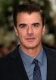 Chris Noth Actor - Sex in the City, Law & Order, The Good Wife. Type your text to hear it in the voice of Chris Noth