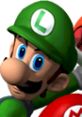 Luigi in Mario Kart: Double Dash, wearing a green cap, excitedly ready to race with a determined expression.