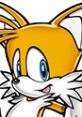 Cheerful Tails from Sonic Rush, featuring his iconic orange and white fur, bright blue eyes, and playful smile.