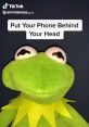 KermitOnTikTok Type your text to hear it in the voice of KermitOnTikTok. In the realm of TikTok, Kermit the Frog has found