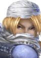 Sheik in Super Smash Bros. Brawl, ready for battle with stealthy combat style and striking features.