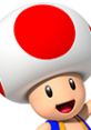 Toad, the cheerful character from Mario Kart DS, features a large red and white spotted mushroom cap and a friendly expression.