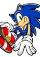 Sonic the Hedgehog character from Sonic Rush holding a red and white ring, showcasing his speed and playful nature.