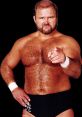 Arn Anderson Type your text to hear it in the voice of Arn Anderson. The world of professional wrestling is a symphony of