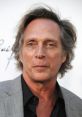 William Fichtner Actor - The Dark Knight - Prison Break - Mom. Type your text to hear it in the voice of William Fichtner