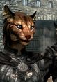 Khajiit Khajiit 