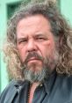 Mark Boone Junior Actor - Sons of Anarchy, Batman Begins. Type your text to hear it in the voice of Mark Boone Junior