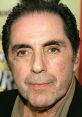 David Proval Actor - The Sopranos, Everybody Loves Raymond, Mean Streets, Four Rooms, Shawshank Redemption, The