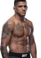 Gilbert Burns UFC Fighter . Type your text to hear it in the voice of Gilbert Burns