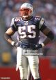 Willie McGinest Super Bowl Champion - New England Patriots. Type your text to hear it in the voice of Willie McGinest