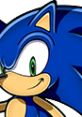 Sonic the Hedgehog with vibrant blue spikes and green eyes, showcasing the iconic character from Sonic Heroes game.