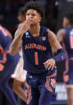 Wendell Green Jr NCAA Basketball - Auburn . Type your text to hear it in the voice of Wendell Green Jr