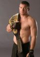 Matt Hughes Type your text to hear it in the voice of Matt Hughes. In the world of mixed martial arts, the name Matt