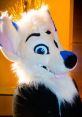 Marks Barks Furry YouTube Star. Type your text to hear it in the voice of Marks Barks