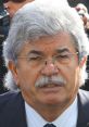 Antonio Razzi Retired Italian Politician. Type your text to hear it in the voice of Antonio Razzi