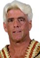 Ric Flair showcasing his iconic hairstyle and colorful attire, embodying the spirit of professional wrestling and charisma.