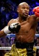 Floyd Mayweather Type your text to hear it in the voice of Floyd Mayweather. The click of a mouse echoed through the room as