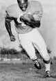 Floyd Little NFL Hall of Fame - Denver Broncos. Type your text to hear it in the voice of Floyd Little