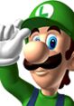 Luigi in a green hat and gloves, waving, featured in Mario Kart DS, ready for exciting racing adventures.