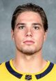 Kevin Fiala Type your text to hear it in the voice of Kevin Fiala. The room was filled with the soft hum of the Kevin