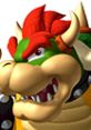 Close-up of Bowser from Mario Kart DS, showcasing his fierce expression and iconic features, ready for racing action.